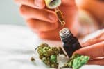 bienfaits du CBD sur le corps