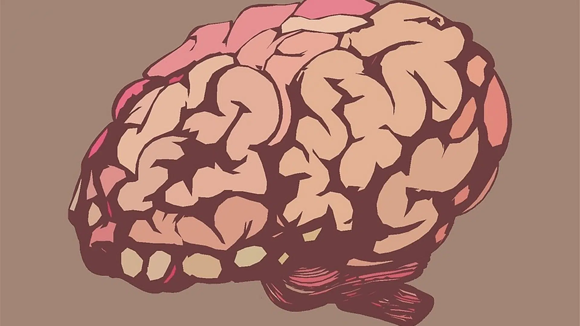 Deux solutions pour booster le fonctionnement de votre cerveau