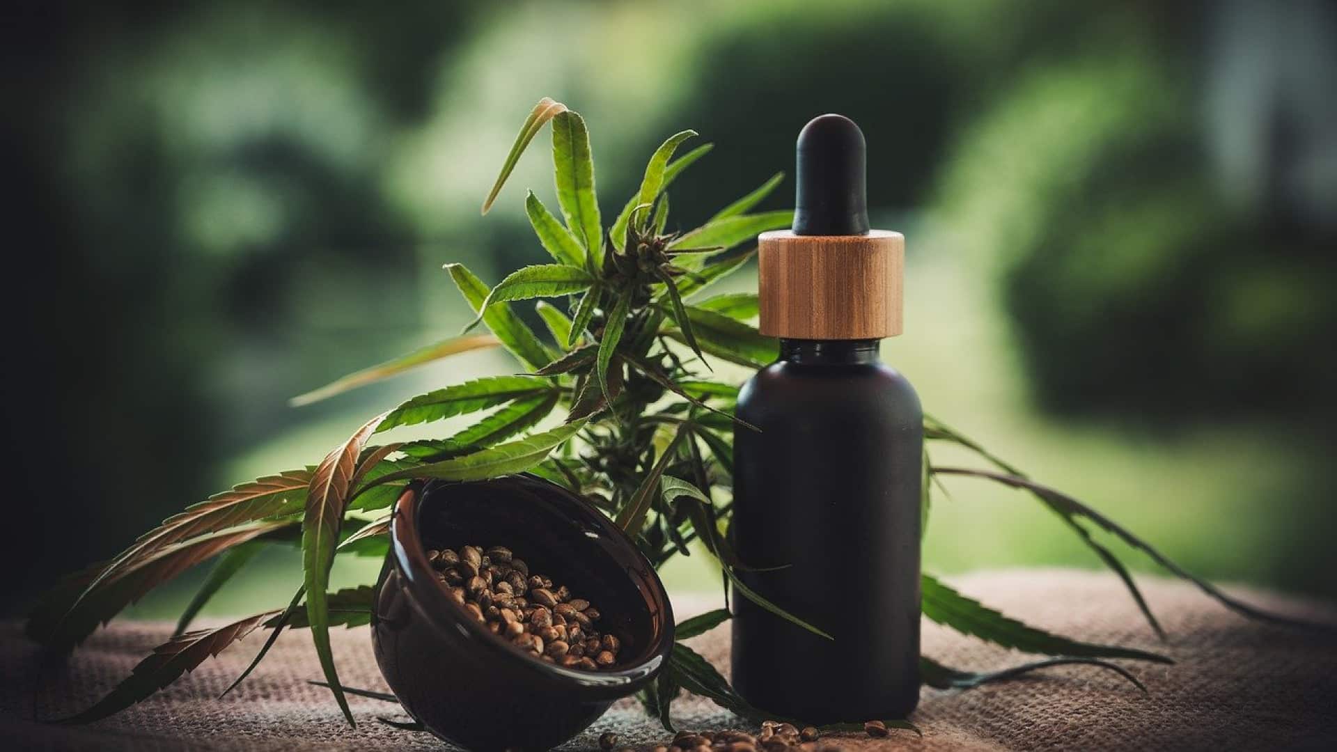 Utilité des comparateurs en ligne de shop de cbd