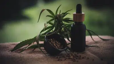 Quelles informations trouve-t-on sur les blogs sur le CBD ?