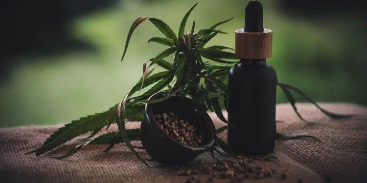 Quelles informations trouve-t-on sur les blogs sur le CBD ?