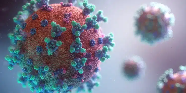 Visualization of the coronavirus causing COVID-19